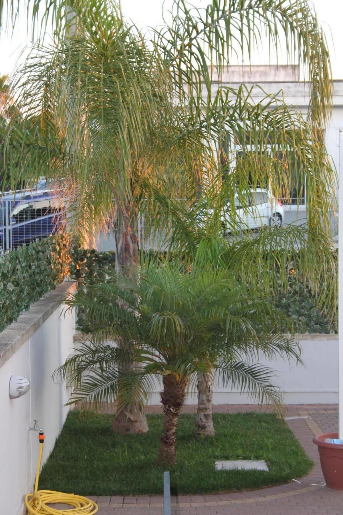 Kalinifta Residence Carpignano Salentino Luaran gambar